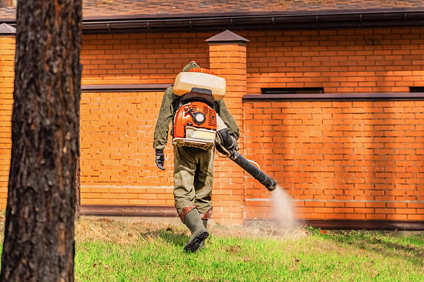 Top rated local Mosquito Control specialists in Candler-McAfee, GA